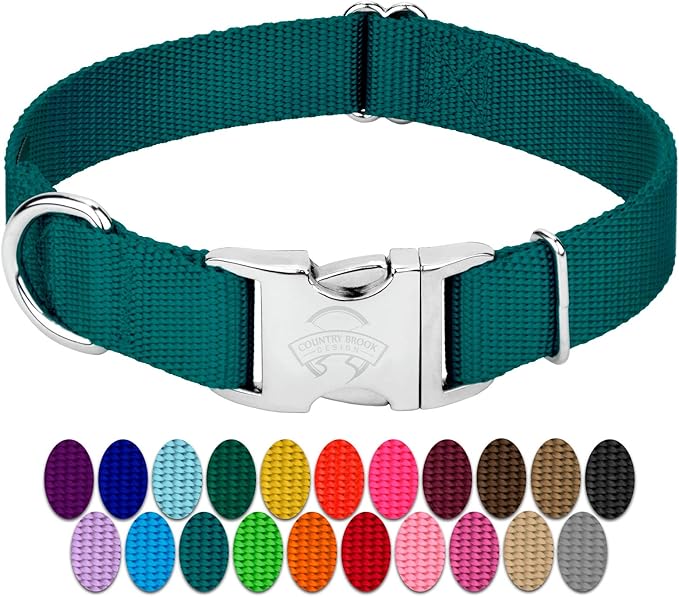 Country Brook Petz - Premium Nylon Dog Collar with Metal Buckle for Small Medium Large Breeds - 10+ Cool Colors (Small, 3/4 Inch, Teal)