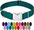 Country Brook Petz - Premium Nylon Dog Collar with Metal Buckle for Small Medium Large Breeds - 10+ Cool Colors (Small, 3/4 Inch, Teal)