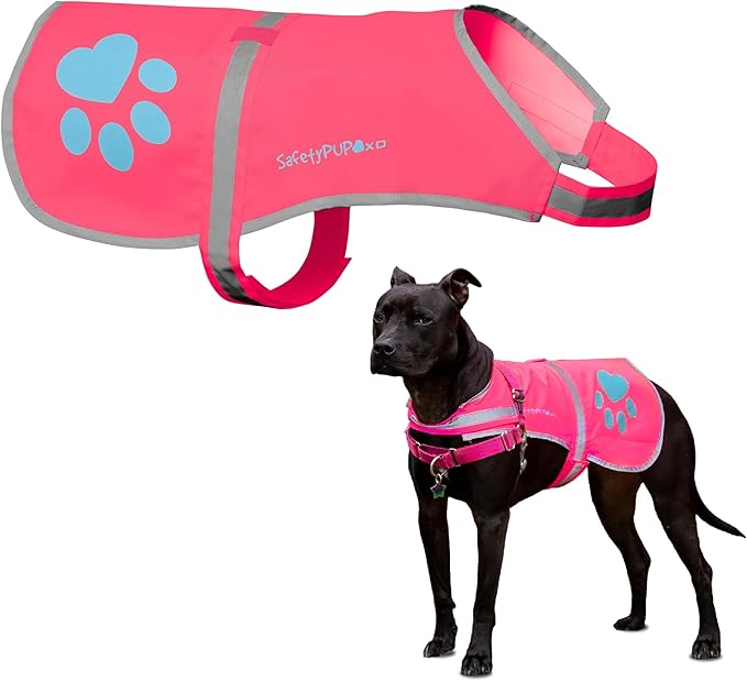 SafetyPUP XD Dog Reflective Vest – Hi-Vis Fluorescent Visibility That Helps to Safeguard Your Pet On/Off Leash in Urban & Rural Areas (Pink, X-Small)
