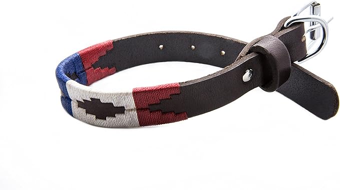 Gaucho Goods Leather Big Dog Collar - The Patriot (XL)