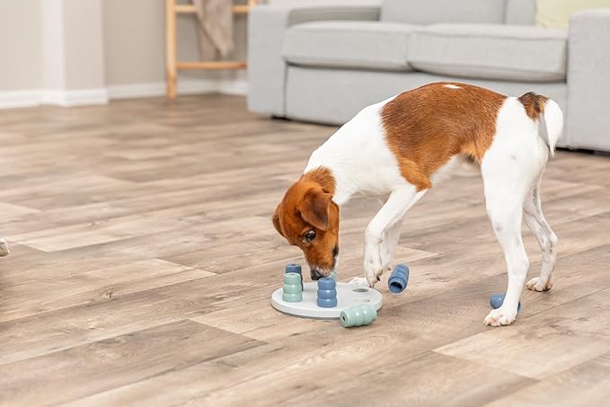 TRIXIE Pet Products Mini Solitaire Game for Dog, Level 1, White/Blue, 7.75 x 7.75 in. (32023)