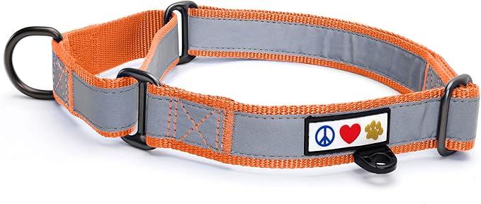 Pawtitas Personalized Dog Collar Martingale Dog Collar with Name Phone Number Reflective Martingale Dog Collar Customized Collar for Large Dogs | Orange Custom Dog Collars for Large Dogs