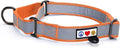 Pawtitas Orange Reflective Martingale Dog Collar, Small