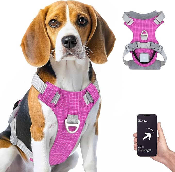 TagME No Pull Dog Harness with 2 Leash Clips,Lightweight & Visible for All-Day Walking,No Choke Pet Vest Includes AirTag Holder for Medium Dogs,Fuchsia Pink
