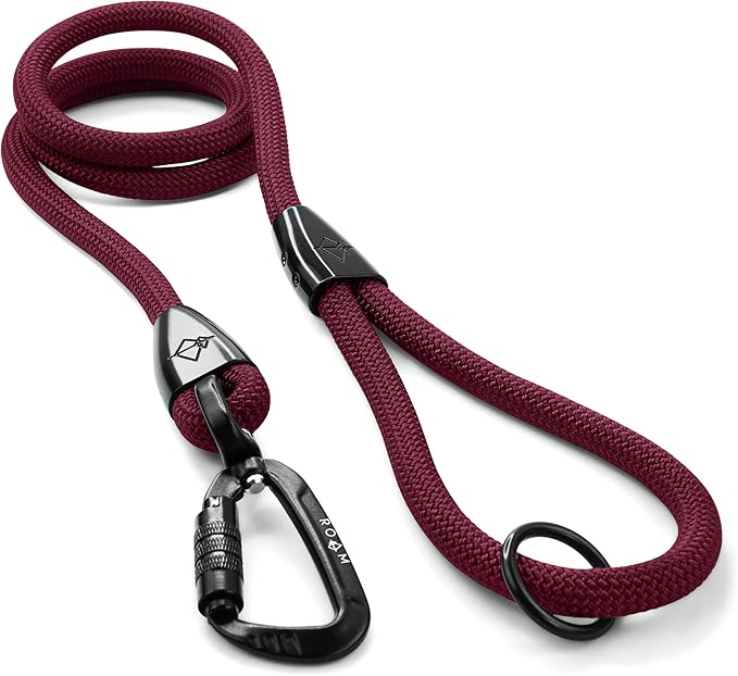 MADE TO ROAM Premium Explorer Leash - Climbing Rope Leash with Autolocking Aviation Aluminum Carabiner - Vermont Weekends, 4ft