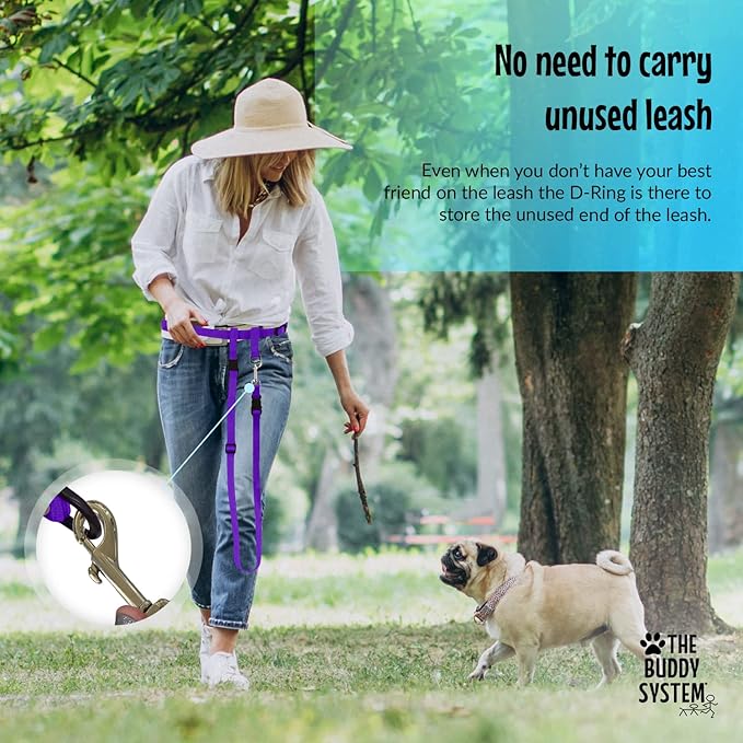 The Buddy System Hands Free Dog Leash, Adjustable Leash for Running, Jogging, Training and Service Dogs, Great for Small, Medium and Large Dogs, Made in USA (Purple, Small Dog System (Large Belt))