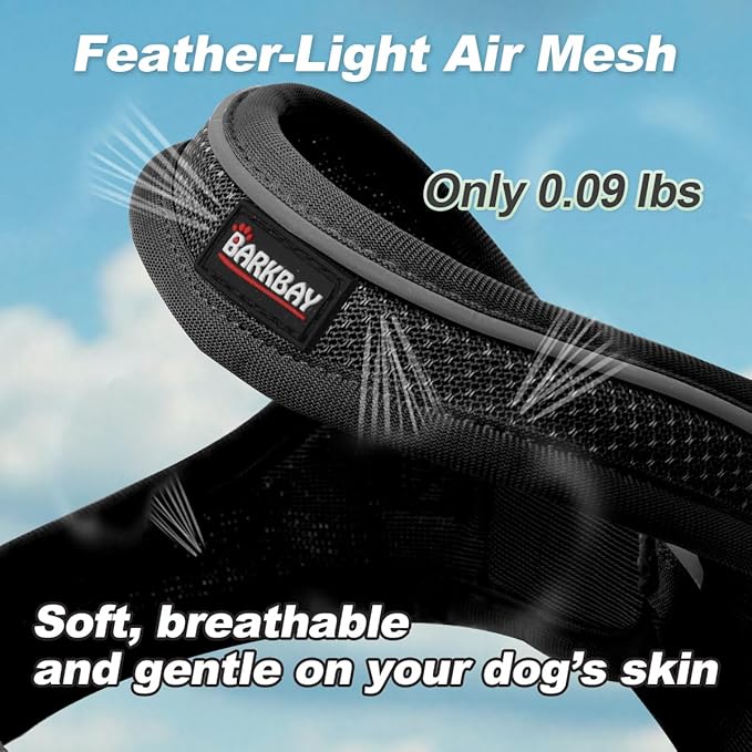 Dog Harness and Leash Set,Step in Small Sized Dog Harness,Soft Mesh,No-Chock,Reflective Adjustable,Secure with Hook & Loop Fastener,Puppy Vest for Small,Medium Dogs(Black,XXXS)