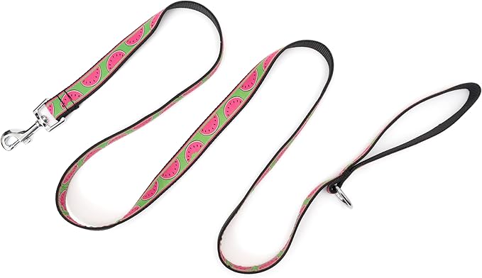 THE WORTHY DOG Watermelon Patterned Nylon Leash for Dogs, Stylish, Durable, Woven Ribbon - Dark Green, Large