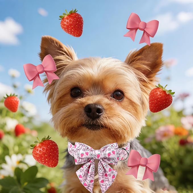 Lionet Paws Strawberry Floral Dog Collar with Sailor Bow, Spring Pink Bow Dog Collars Bow Tie for Puppies, XS, Neck 8-12 inches