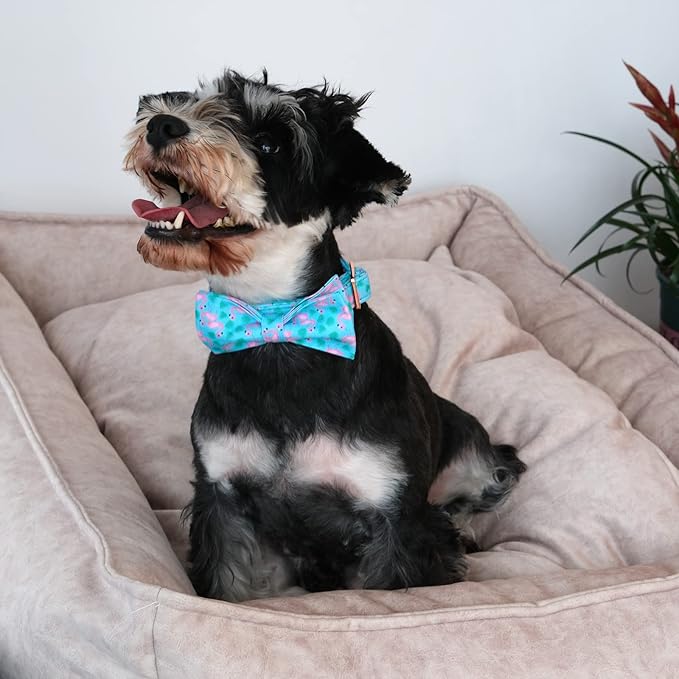 ARING PET Flamingo Dog Collar-Cotton Dog Collar with Bow, Adjustable Summer Bowtie Dog Collars Pet Collars with Metal Buckle