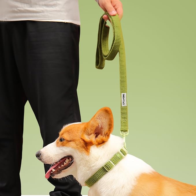 5 FT Stylish Dog Leash, Soft Dog Leashes with Comfortable Padded Handle, Metal Carabiner Clip, Strong No Pull Pet Leash for Small Medium Dogs for Walking, Shopping and Running