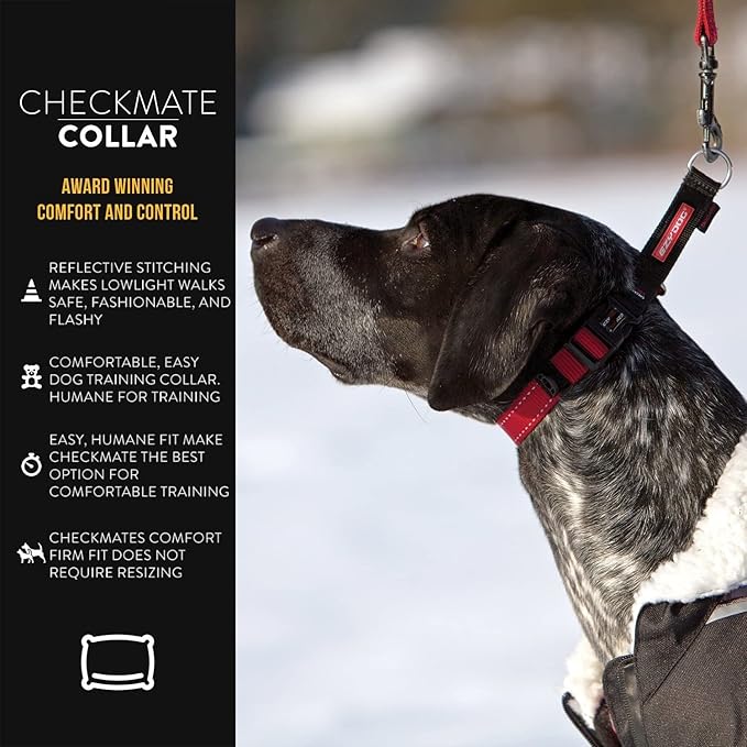 EzyDog Checkmate Martingale Collar for Dogs – Premium Nylon Training Dog Collar for Easy Control with no Choking (Medium, Purple)