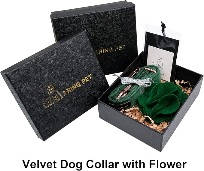 ARING PET Velvet Dog Collars, Dark Green Soft Pet Collar with Detachable Felt Flower Metal Buckle for Puppy Small Medium Large Boy Girl Dogs-S