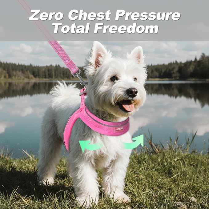 Dog Harness and Leash Set,Step in Small Sized Dog Harness,Soft Mesh,No-Chock,Reflective Adjustable,Secure with Hook & Loop Fastener,Puppy Vest for Small,Medium Dogs(Pink,XXXS)
