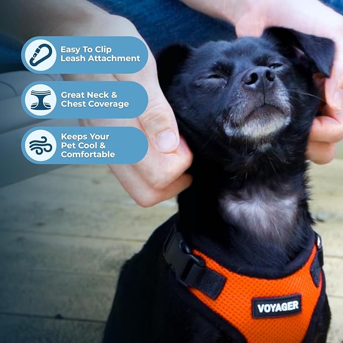 Voyager Step-in Pet Harness - All Weather Mesh, Adjustable Step in Harness for Cats and Dogs by Best Pet Supplies - Orange/Black Trim, S