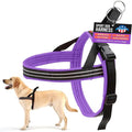 ComfortFlex Sport Dog Harness – No-Choke, Fully Padded, Non-Chafing Harness with Control Handle – Reflective, Lightweight, Adjustable for Active Dogs - Large, Purple