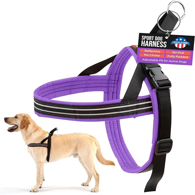ComfortFlex Sport Dog Harness – No-Choke, Fully Padded, Non-Chafing Harness with Control Handle – Reflective, Lightweight, Adjustable for Active Dogs - Small/Medium, Purple
