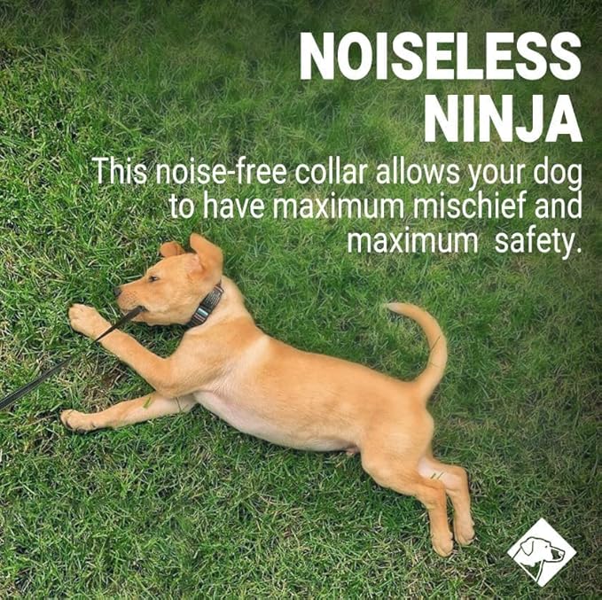 Personalized Dog Tags by ROAD iD | Silent & Durable | Jingle-Free Slide-On Design | Stainless Steel Name Tag Fits Any Collar | Multiple Colors & Sizes for Your Pet's Unique Style