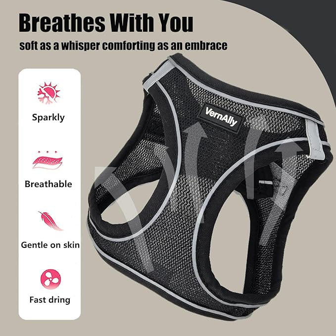 Sparkly Dog Harness Small Sized and Leash Set for Small Dogs Cats,Black XXS Puppy Harness, Step in Soft Dog Reflective Vest, Breathable Mesh Pet Harness. (Black, XXS)
