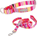 Lucky Love Dog Martingale Dog Collar & Leash - Adjustable, No-Slip, Durable, Comfortable, Soft Webbing, & Stylish Patterned Collar & Leash Set for Male and Female Dogs - Molly Combo, Medium