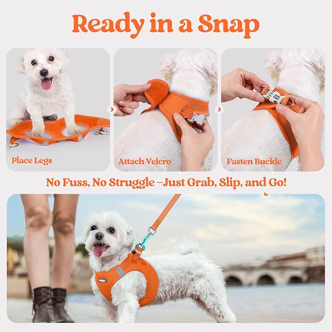 rabbitgoo Dog Harness Small Sized and Leash Set, Step in Soft Light Puppy Vest, Breathable Mesh Pet Harness, Reflective for Safe Easy Walking, Orange XS