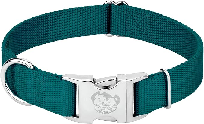 Country Brook Petz - Premium Nylon Dog Collar with Metal Buckle for Small Medium Large Breeds - 10+ Cool Colors (Medium, 3/4 Inch, Teal)