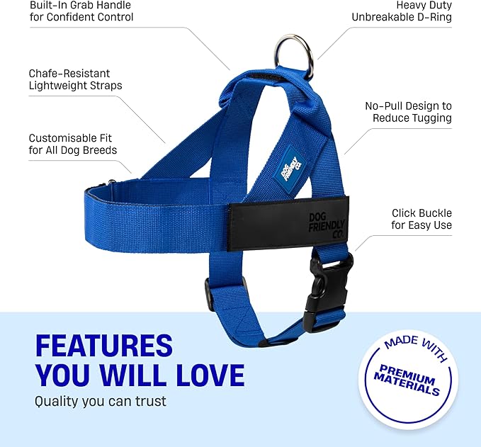 DF Co. Dog Harness | Chafe Resistant Webbing, Adjustable Neck & Chest, and Heavy Duty D-Ring | Sturdy, Comfortable, Easy to Use | Classic Blue, Size XS