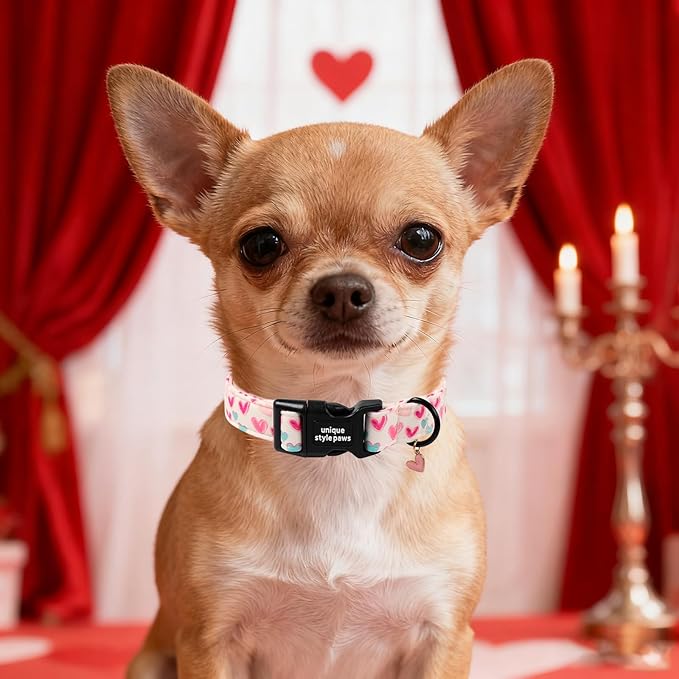 Unique Style Paws Valentine Dog Collar Plastic Buckle with Pendant Beige Colorful Heart Cotton Puppy Collars for Small Medium Large Dogs