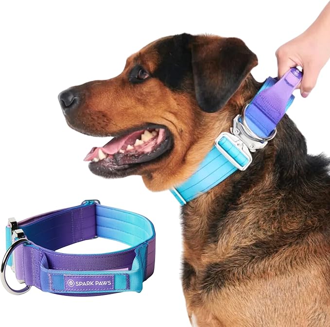 Spark Paws Tactical Dog Collar - Heavy Duty, Premium Quality, Thick and Durable for Large and Medium Dogs - 90's Retro - M