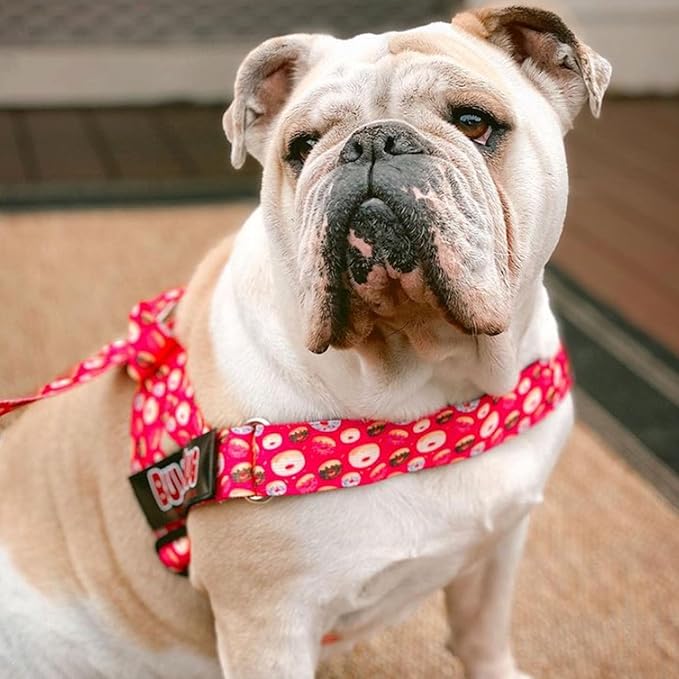 BULLHUG Adjustable Dog Harness– No Pull, No Choke – for English Bulldogs, French Bulldogs, Pugs & Broad-Chested Breeds – Easy, Safe Walks (Skull, Medium)