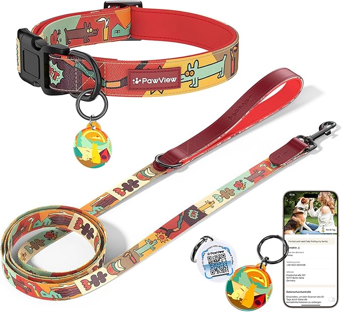 Dog Collar and Leash Set, QR Tag Adjustable Pet Collar, 6 FT Heavy Duty Dog Leash, Padded Handle, Quick Release Buckle, Metal Ring, 360° Swivel Clip for Large Dogs Walking Running (Red, L)