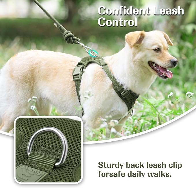 No Pull Dog Harness for Small Medium Large Dogs - Adjustable 2 Layer Mesh Dog Vest with Dual Clip, Escape Proof, Quick Release, Lightweight Breathable Mesh for Walking Hiking (Misty Green,XS)