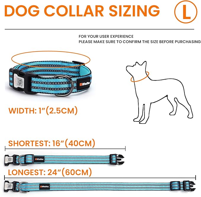 Reflective Dog Collar with QR Code Tag, Personalized Dog Collar, Safety Night Visibility, Anti-Loss Function (Blue, Large)
