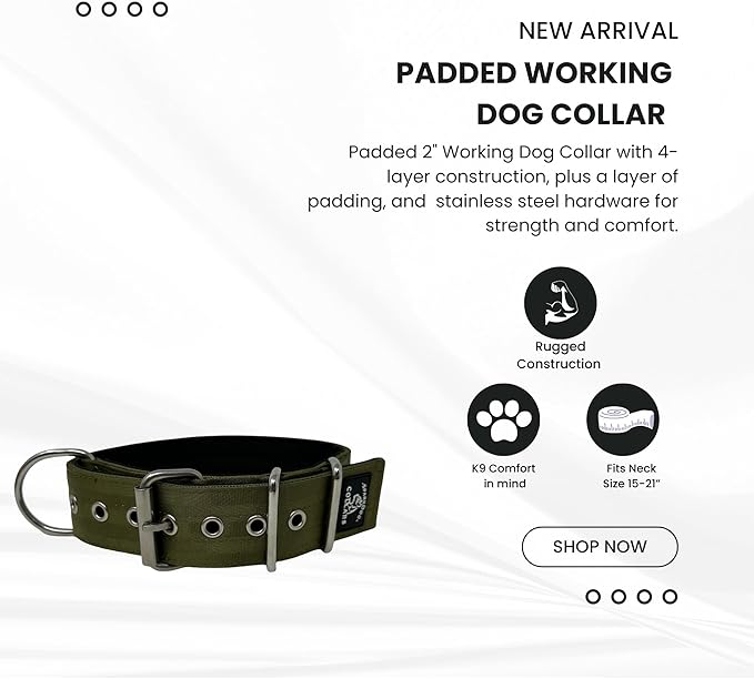 SparkDog Collars Working Dog Collar - 2" 4ply Padded Dog Collar Heavy Duty Stainless Steel Tactical Seatbelt Wide Buckle Collar (OD Green 2.0, 16-21" Large)