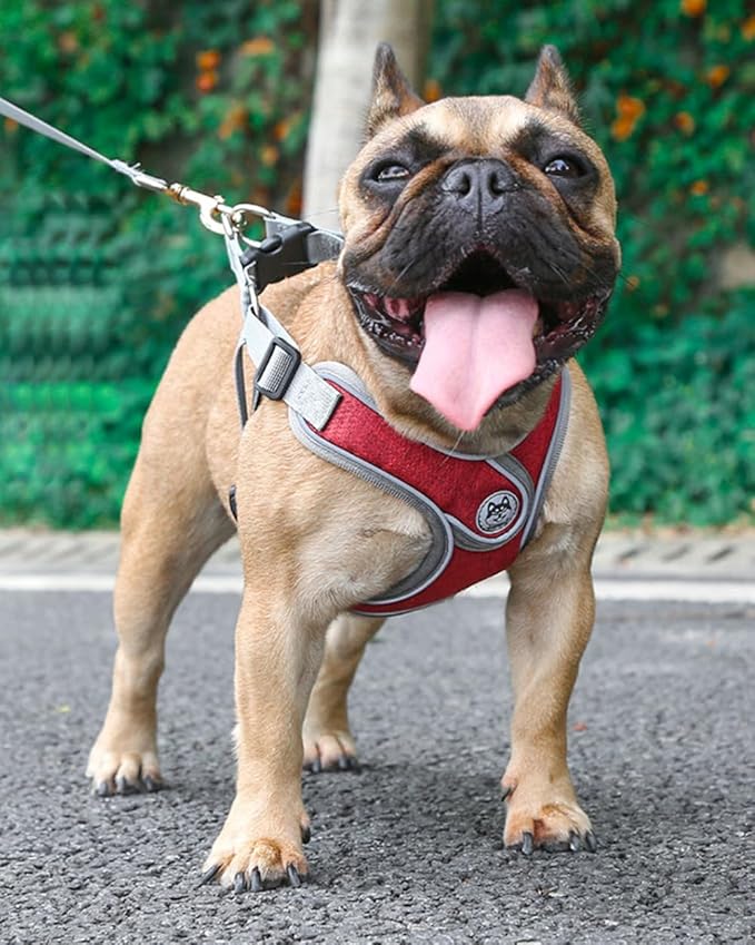 Medium Dog Harness and Leash Set,No Pull Adjustable Step in Soft Mesh Vest Harness,Easy Walk Reflective Pet Harness with Padded Handle for Walking Training Small Medium Large Dogs and Cats (Red, M)