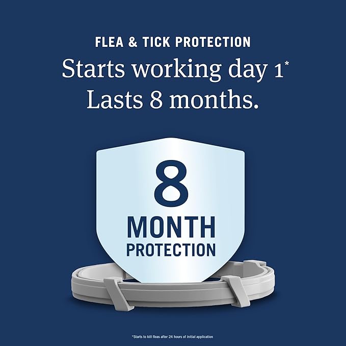 PetArmor Extend Flea & Tick Treatment & Prevention Collar for Small Dogs up to 18 lbs., 8 Months of Protection, Odorless & Non-Greasy, Waterproof, Kills Fleas, Ticks, and Flea Larvae, 1 Count