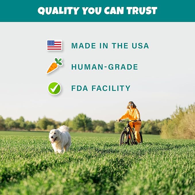 PETIPET Plant-Based Pumpkin Dog Treats - Pumpkin, Carrot, Apple, and Blueberry Soft & Chewy - Vegetarian, Vegan Dog Treats with Organic Ingredients - Low-Protein, Hypoallergenic, Gluten-Free