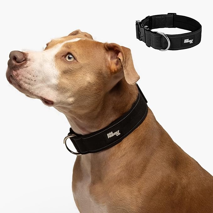 DF Co. Tactical Dog Collar | Comfortable & Secure with Quick Release Clip Buckle and Heavy Duty D-Ring | Soft Padded Neoprene, Chafe Resistant, Night-Time Visibility | Black, Size M