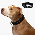 DF Co. Tactical Dog Collar | Comfortable & Secure with Quick Release Clip Buckle and Heavy Duty D-Ring | Soft Padded Neoprene, Chafe Resistant, Night-Time Visibility | Black, Size M