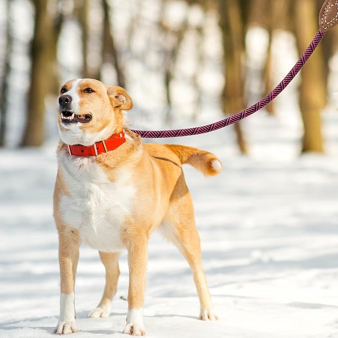 Mile High Life Rope Leash with Genuine Leather Connection, 6 FT/5 FT/4 FT, Heavy Duty Leash for Medium & Large Dogs (Hot Pink, 72 Inch)
