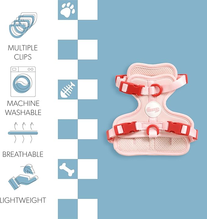 HNS1000G Arlo Extra Small Adjustable Soft Padded No Pull Pet Harness with 3 Buckles and 3 Leash Clips, Paloma