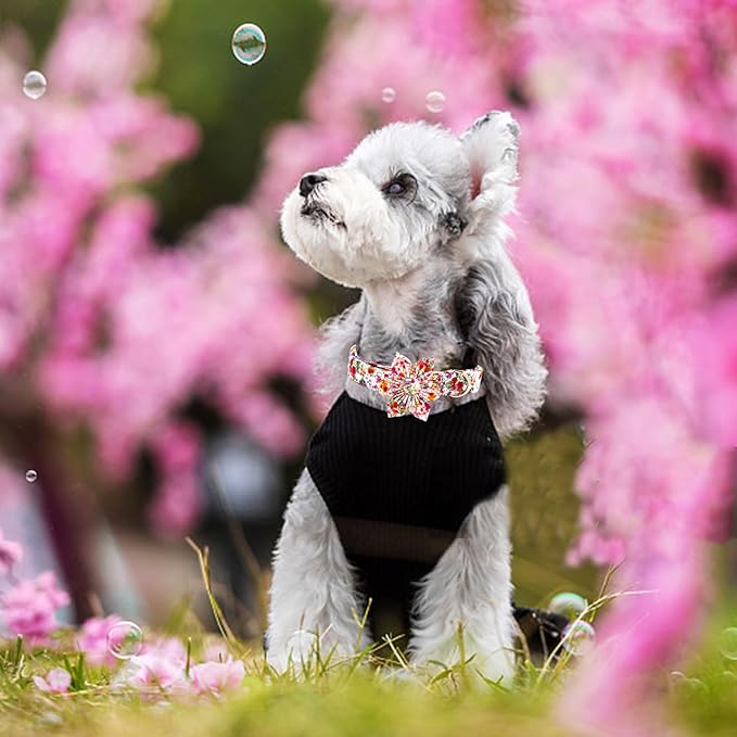 Elegant little tail Dog Collar with Flower, Pink Rose Print Pet Collar Flower Pet Collars Summer Cute Adjustable Dog Collars for Small Dogs