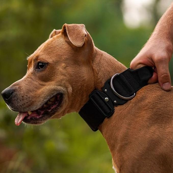 Spark Paws Tactical Dog Collar - Heavy Duty, Premium Quality, Thick and Durable for Large and Medium Dogs - Black - L