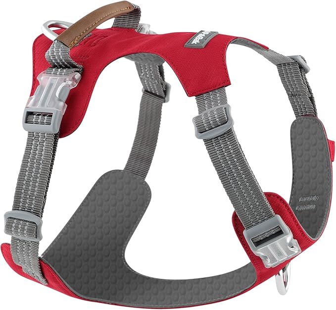 No Pull Dog Harness – Adjustable Reflective Nylon Vest for Small Medium Large Dogs, Escape Proof Training Harness with Leather Control Handle, Lightweight Aluminum Hardware (Red, S)