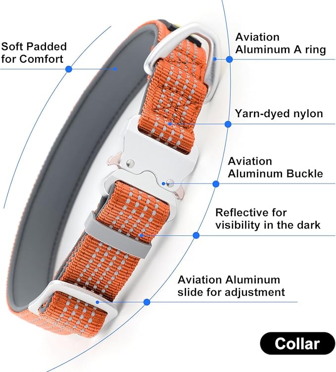 Plutus Pet Reflective Dog Collar with Aviation Aluminum Buckle, Neoprene Padded for Comfort, Lightweight, Heavy Duty Nylon Collar for Puppy Small Medium Large Dogs (Orange, M)