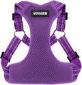 Best Pet Supplies Voyager Adjustable Step-in Flex Breathable Mesh Dog Harness for Small Medium Large Dogs (Purple), XS