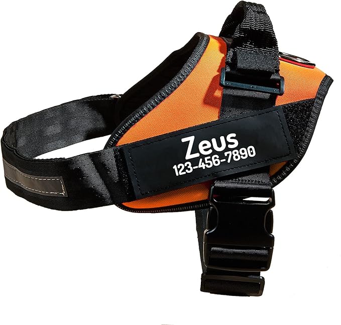PawPawify Personalized No Pull Dog Harness with 2 Custom Name & Phone Patches, Reflective Breathable Pet Vest for Walking Training, Adjustable Heavy Duty Service Dog Vest for Small Medium Large Dogs