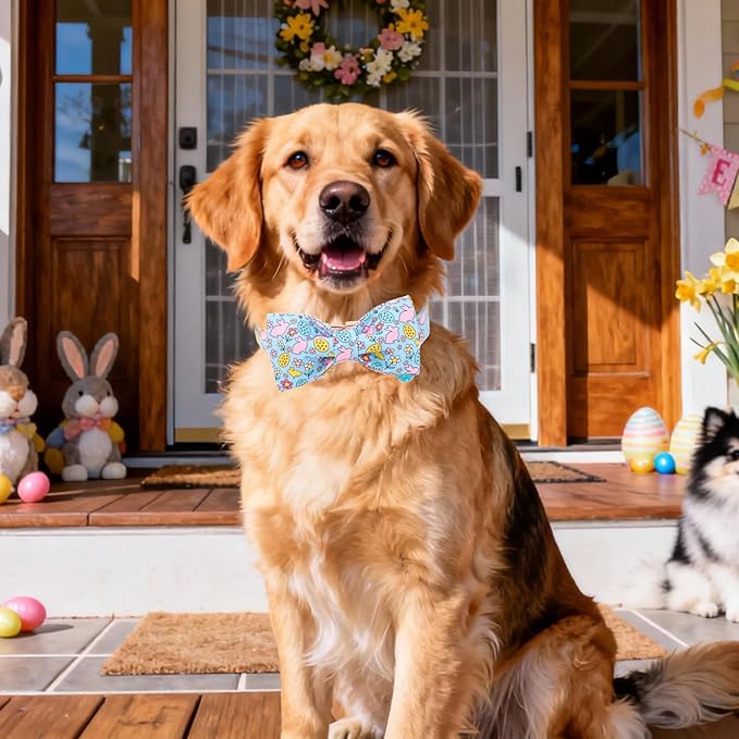 DOGWONG Easer Dog Collar with Bow,Blue Bunny Easter Dog Collars, Adjustable Durable Soft Flower Easter Dog Collar for Male Female Puppy,XS