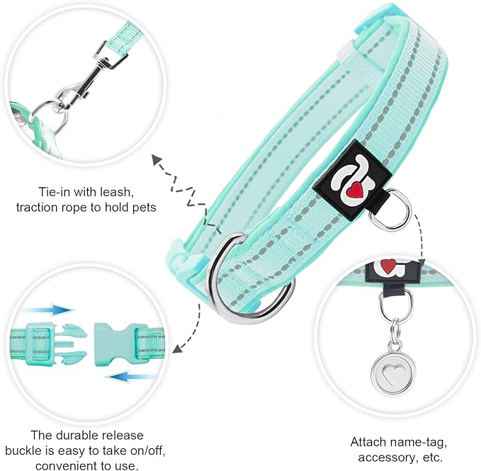 azuza Reflective Dog Collar,Soft Neoprene Padded Pet Collar with ID Tag Ring,Adjustable for Large Dogs,Teal,L