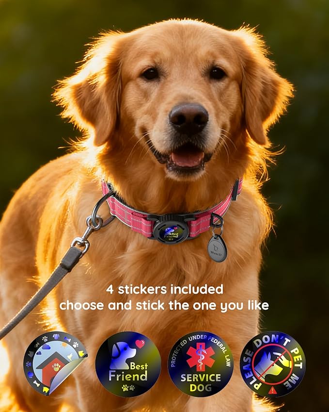 Upgrade Airtag Dog Collar,with IPX8 Waterproof AirTag Holder | Reflective Ultra-Durable | Soft Padded | Lock Buckle | Heavy Duty | Fit Small Medium Large Dogs（Rose，L(17"～23")）